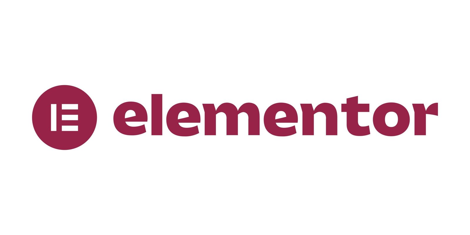 Elementor Hosting Review